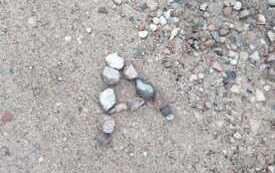 Mały Mistrz 2025 - Janusz Limberger 2