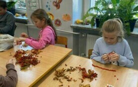 IMG-20241030-WA0072