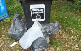 Sprzątanie świata 2025 9
