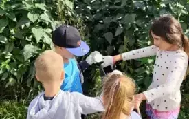 Sprzątanie świata 2025 21