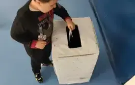 Wybory SU 13