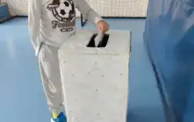 Wybory SU 15