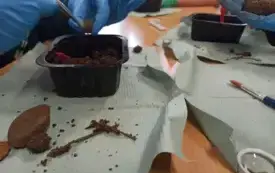 Być jak IGNACY PAŹDZIERNIK 2025 7