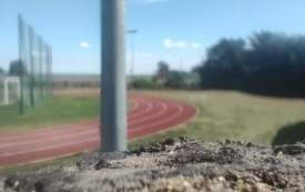 PLENER klasy VII i VII &ndash; Makrofotografia  4