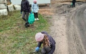 Sprzątanie świata 2024 19