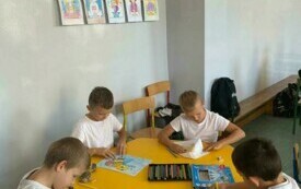 Pszczoły 1
