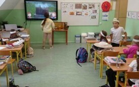 Zajęcia o pszczelarstwie w kl. 1 51