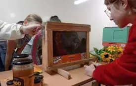 Warsztaty pszczelarskie w naszej szkole 108