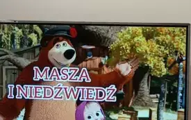 Dzień Pluszowego Misia 2024 8