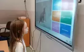 Dzień Pluszowego Misia 2024 31