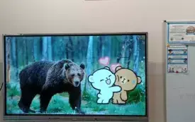 Dzień Pluszowego Misia 2024 33