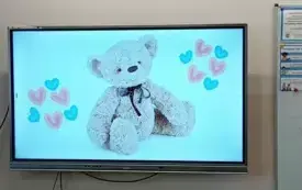 Dzień Pluszowego Misia 2024 35