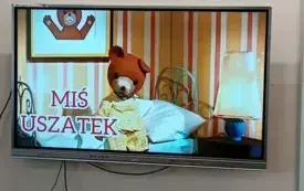 Dzień Pluszowego Misia 2024 36