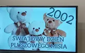 Dzień Pluszowego Misia 2024 48