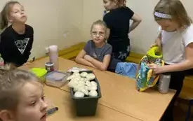 PIZZA Z PIECZARKAMI Z KLASOWEJ HODOWLI 18