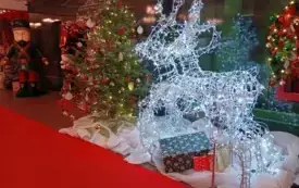 Wycieczka do Wioski św. Mikołaja 1