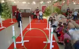 Wycieczka do Wioski św. Mikołaja 54