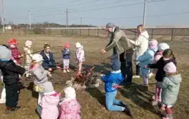 Dzień Wiosny 1