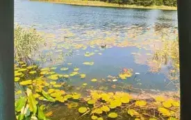 Wyniki konkursu fotograficznego 5