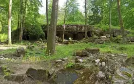 Wycieczka do Olsztyna i Gierłoży 78